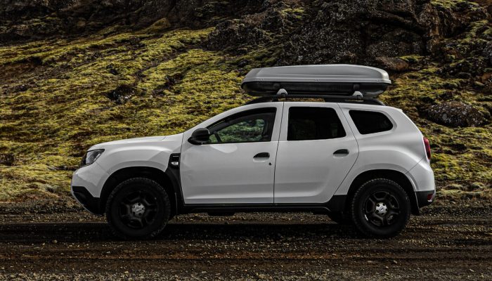Duster 1